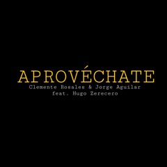 Aprovéchate (Cover Café Tacvba) - Clemente RV
