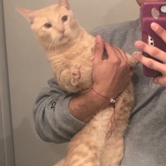 Ill b Inside u tn - wheems, yung wy & imnotbegging