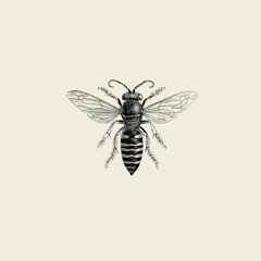Honey (Prod. Sean Houston)