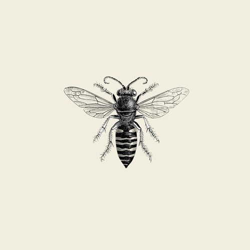 Honey (Prod. Sean Houston)