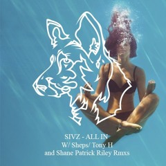 Sivz | All in (Original Mix) [Sheppard Records]