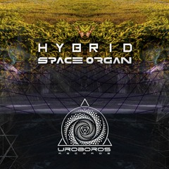 Space Organ - Hybrid [EP] (OUT NOW)
