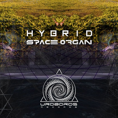 Space Organ - Hybrid [EP] (OUT NOW)