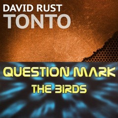 David Rust v Question Mark - The Birds Go Tonto (Daniel McMonnies Edit)