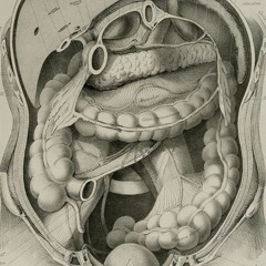 Digest