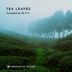 Blue Lotus - In The Fog
