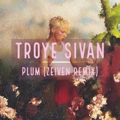 Troye Sivan - Plum(Zeiven Remix)