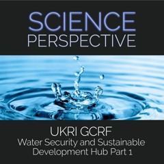 UKRI GCRF Water Security and Sustainable Development Hub Part 1