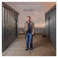 Edwyn Collins: I Guess We Were Young