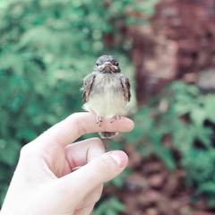 Mittagsstund In Ödersund (Anekdotenmischung)