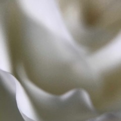 When the Party's Over - Billie Eilish (Cover)