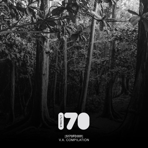 VITAL - BACK TO THE OLD SKOOL