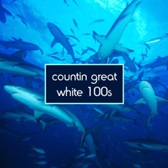 Angelz x Kage - Countin Great White 100s (Duma Mash)
