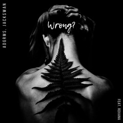 ADGRMS, Jackswan - Wrong? (feat. Roxana)