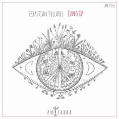 01 Sebastian Sellares - Juno (Original Mix) [AMIT004] Preview