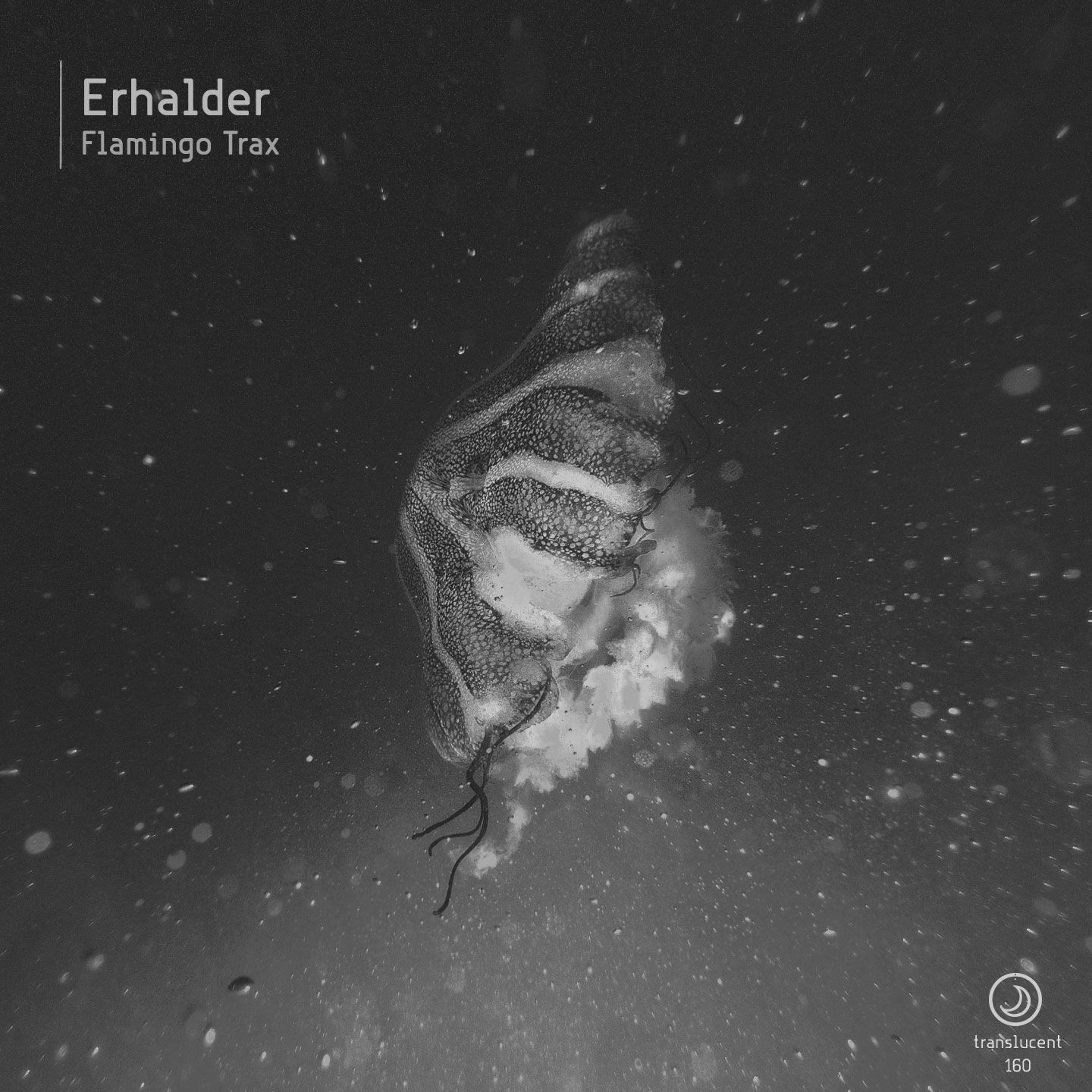 Erhalder