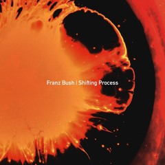 Franz Bush - Shifting Process EP
