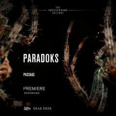PREMIERE: Paradoks - Passage (Original Mix) [Dear Deer]
