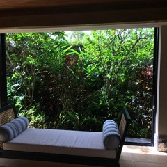 Light And Warm And Feminine - #1865 By Chair House 01232019