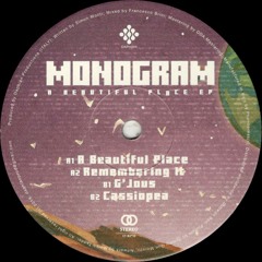 Monogram - A Beautiful Place EP (DPV004)
