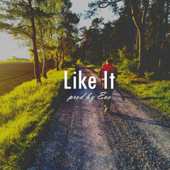 Like It (feat. Shiloh & Andreh Kurbel)