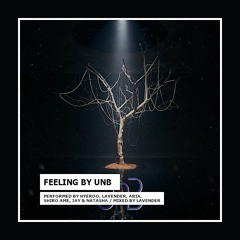 [COVER By BA Ent] UNB's Feeling