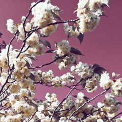 isn't real (prod. c m b)