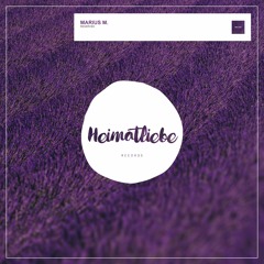 HMTL009: Marius M. - Counting [SNIPPET]