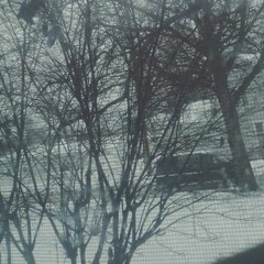 Bucket (Neutral Milk Hotel Cover)