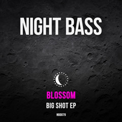 Blossom - Big Shot ft. TT the Artist