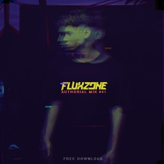 Flux Zone - Authorial Mix 01