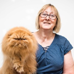 Cat Disgusted Episode 33, Stupid Cat Breeds and the Gum Lady