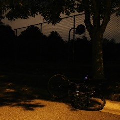 When the Woods Whisper (Single Mix)