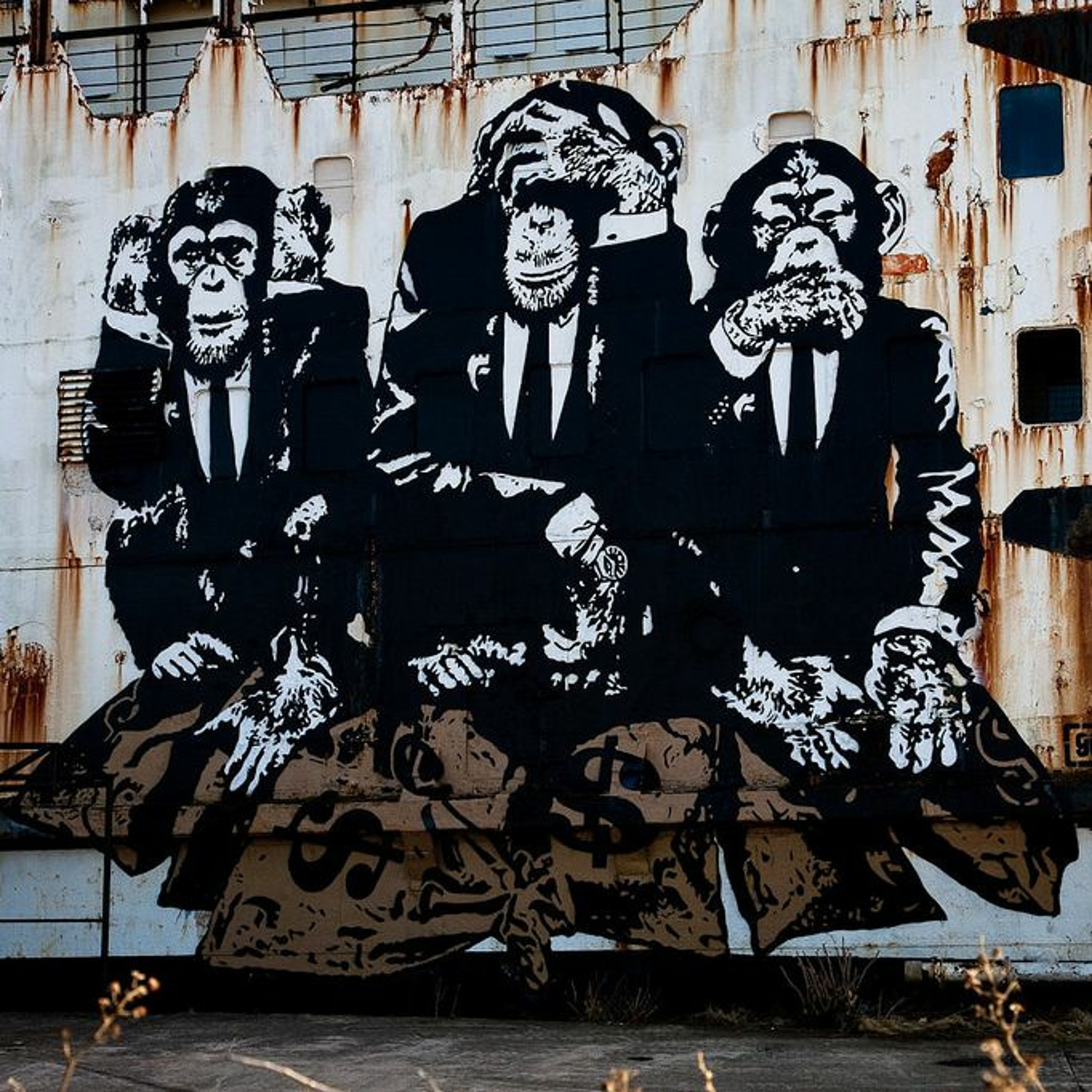 Three Wise Monkeys Podcast
