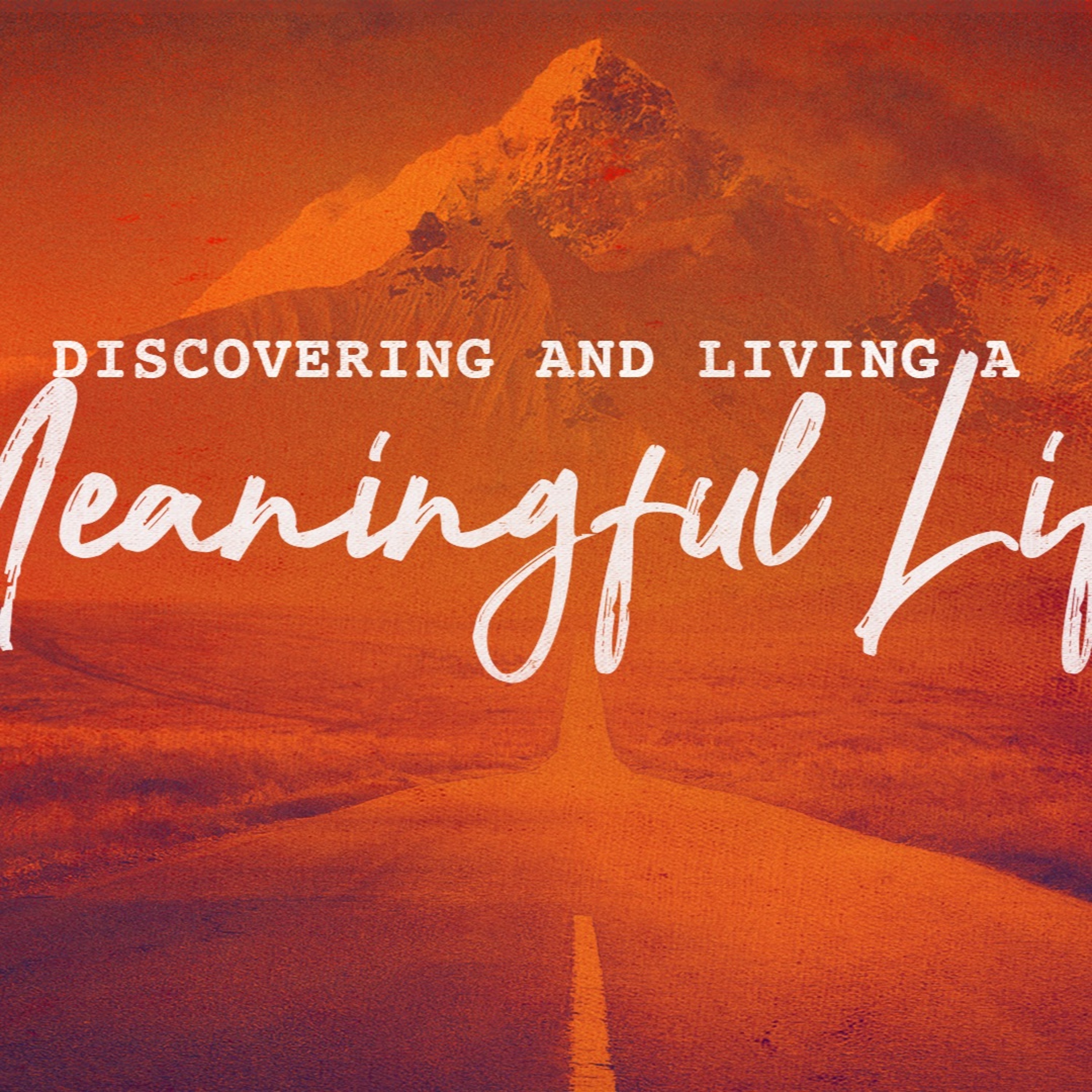 1 - 20 - 19  Discovering and Living a Meaningful Life episode artwork