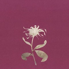 flos cover