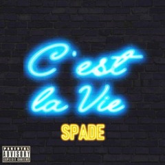 Spade - C'est La Vie (Official Audio)