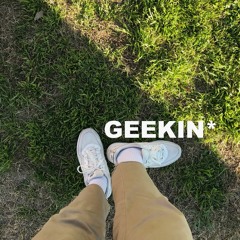 GEEKIN