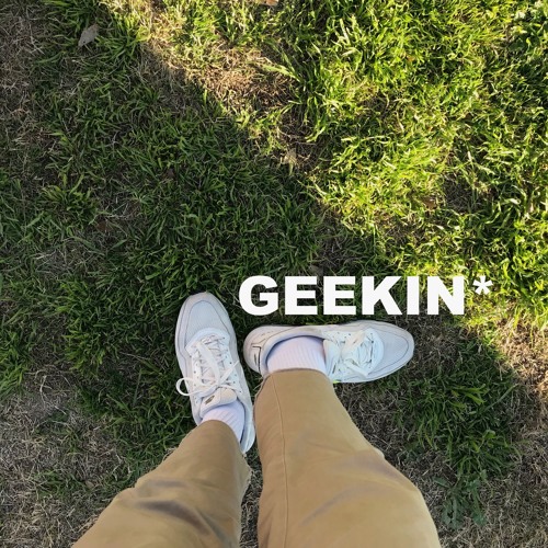 GEEKIN