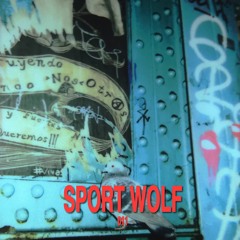 Sport Wolf - (unreleased Temp FM mix 011)