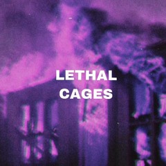 Blue Jay (prod. Josh Petruccio)