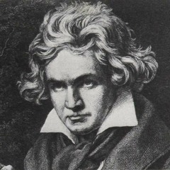 Beethoven String Quartet No.10 in E-flat Major, Op.74 "Harp" - I. Poco adagio - Allegro