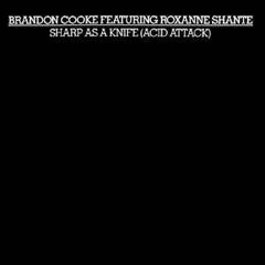 ROXANNE SHANTE - Sharp As A Knife 86' (Dj Nobody Acid Trip Re Edit) .mp3