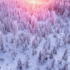 Winter World