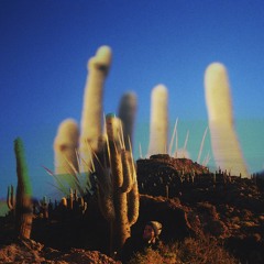 luc le cactus