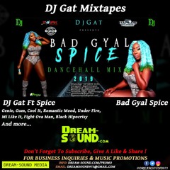 DJ Gat  - Bad Gyal Spice (Mixtape)