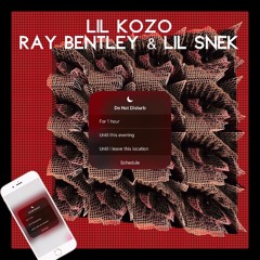 LiL Kozo & LiL Snek, Do Not Disturb ft. Ray Bentley (prod by. BJDBEATZ)