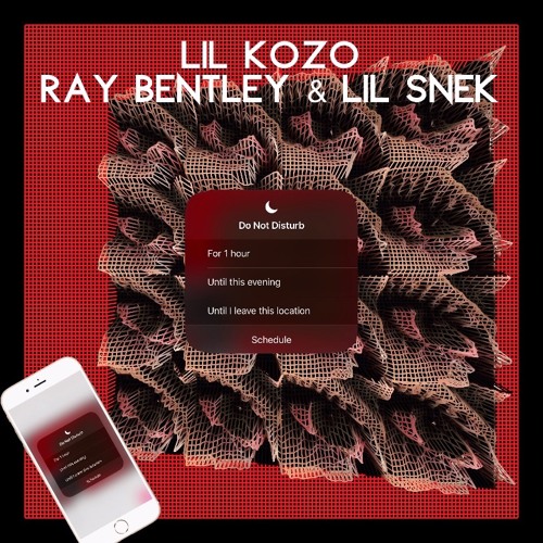 LiL Kozo & LiL Snek, Do Not Disturb ft. Ray Bentley (prod by. BJDBEATZ)
