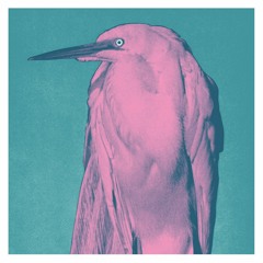 PREMIERE: Joannes - Vrijdag [Something Happening Somewhere]