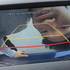 disregarded (1.23.19)